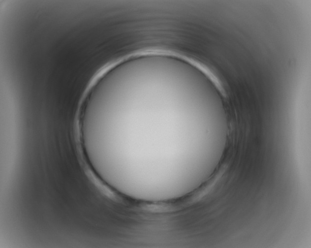 X0000114560998200910191008