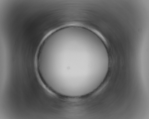 X0000114560999200910191008