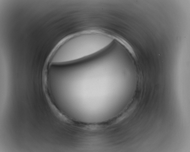 X0000114561000200910191007