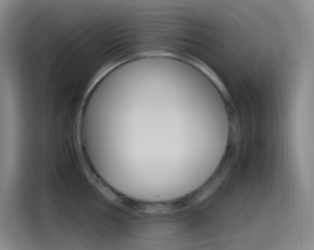 X0000114561002200910191007