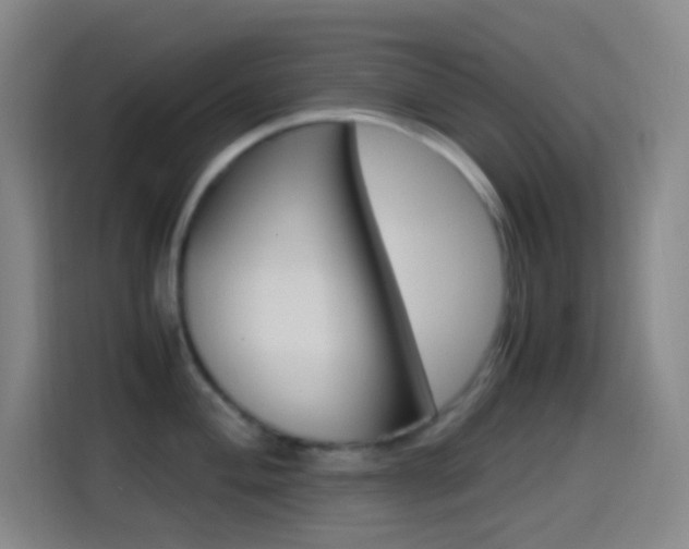 X0000114561004200910191007