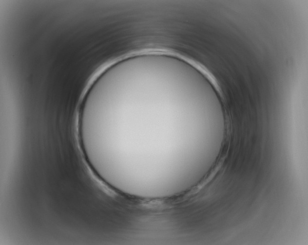 X0000114561006200910191007