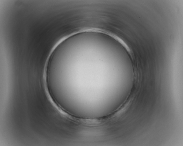 X0000114561007200910191007