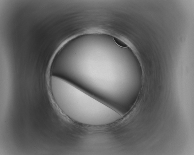X0000114561008200910191007