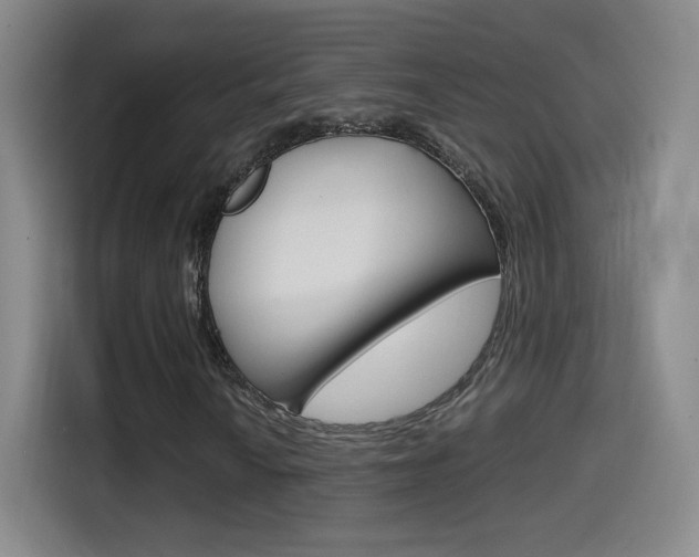 X0000114561010200910191007