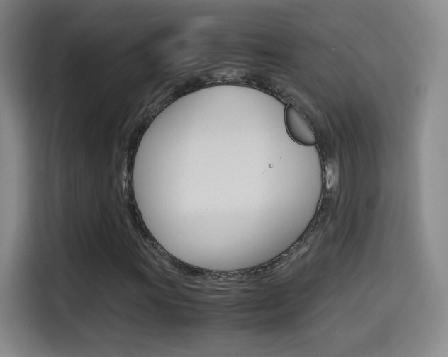 X0000114561011200910191007