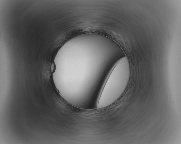 X0000114561012200910191007