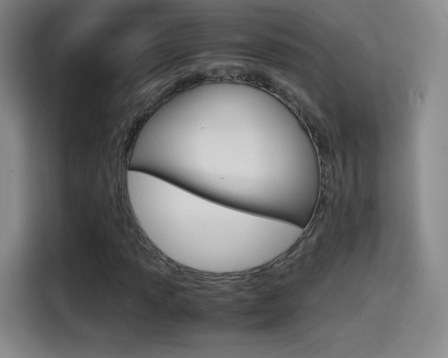 X0000114561013200910191007