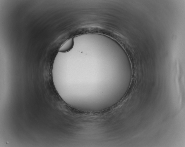 X0000114561014200910191007