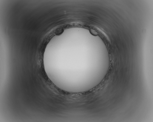 X0000114561015200910191007