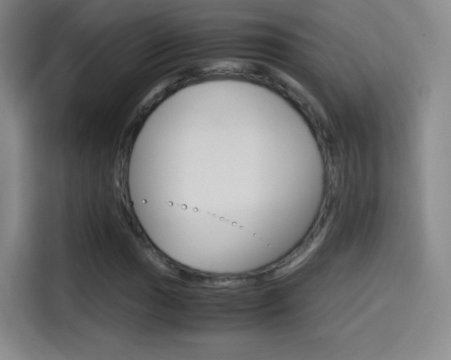 X0000114561017200910191007