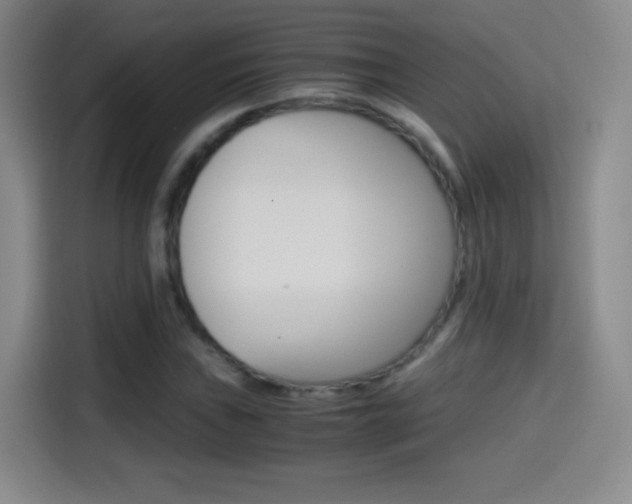 X0000114561019200910191007