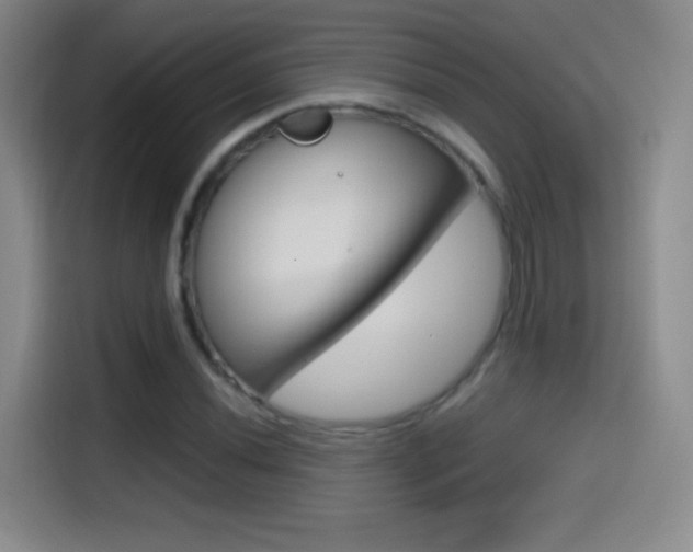 X0000114561020200910191007