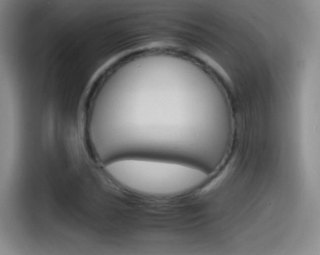 X0000114561021200910191007