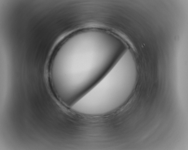 X0000114561024200910191007