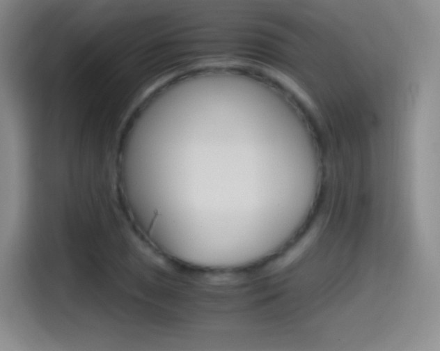 X0000114561025200910191007