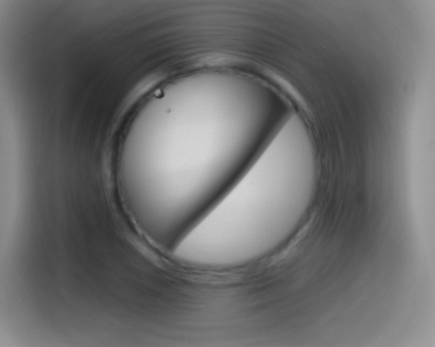 X0000114561026200910191007