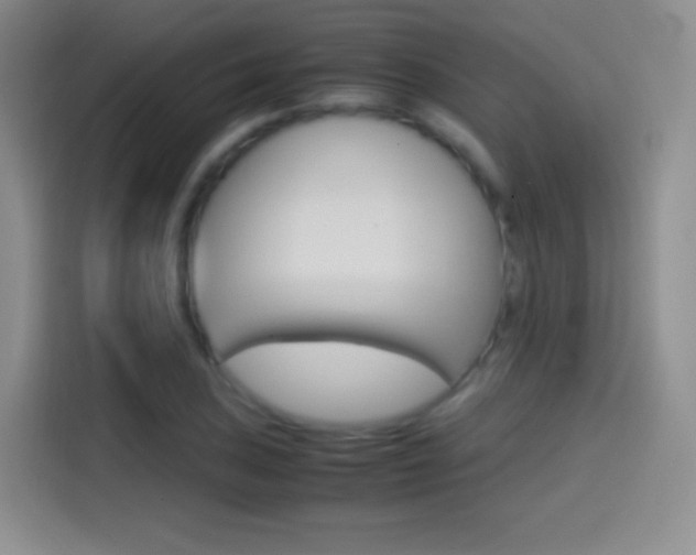 X0000114561027200910191007