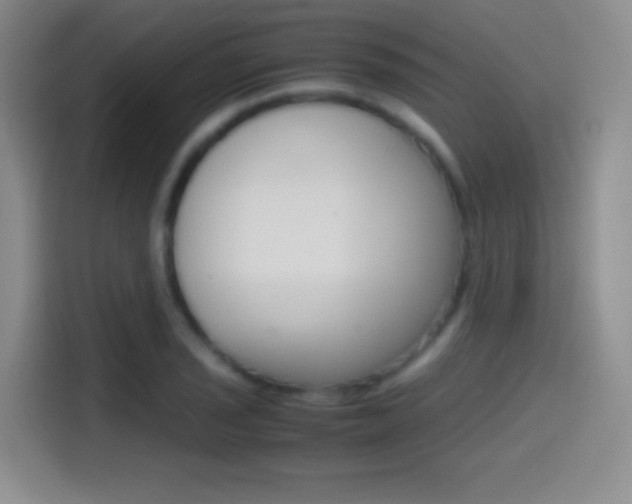 X0000114561029200910191007