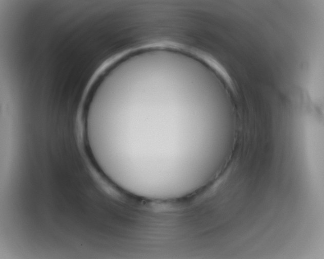 X0000114561032200910191007