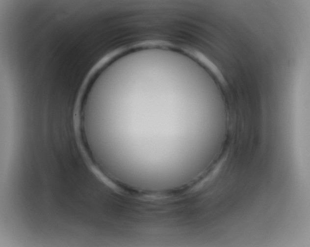 X0000114561037200910191007
