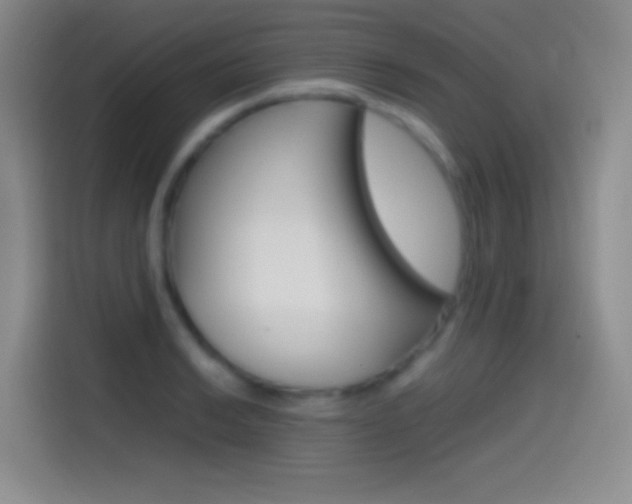 X0000114561038200910191007