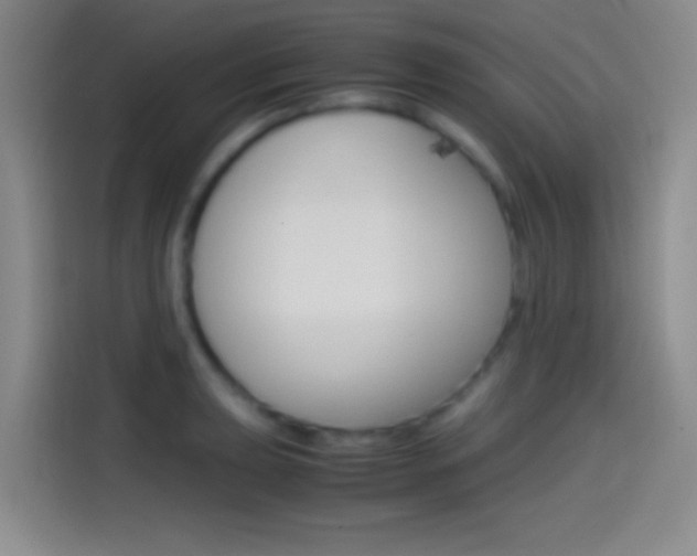 X0000114561039200910191007