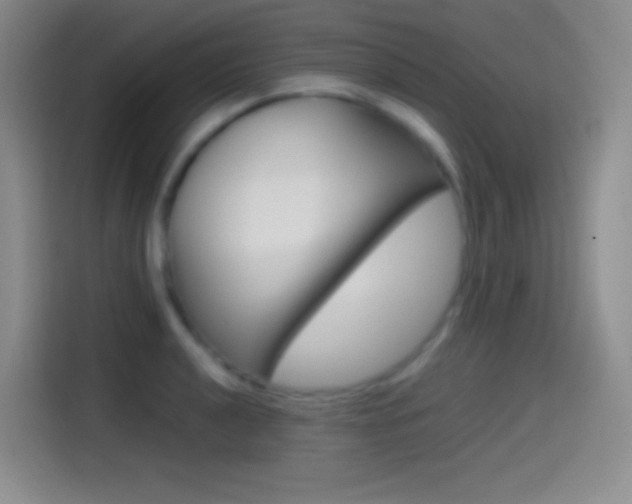 X0000114561040200910191007