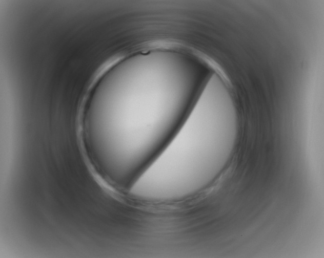 X0000114561042200910191007