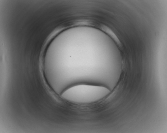 X0000114561043200910191007