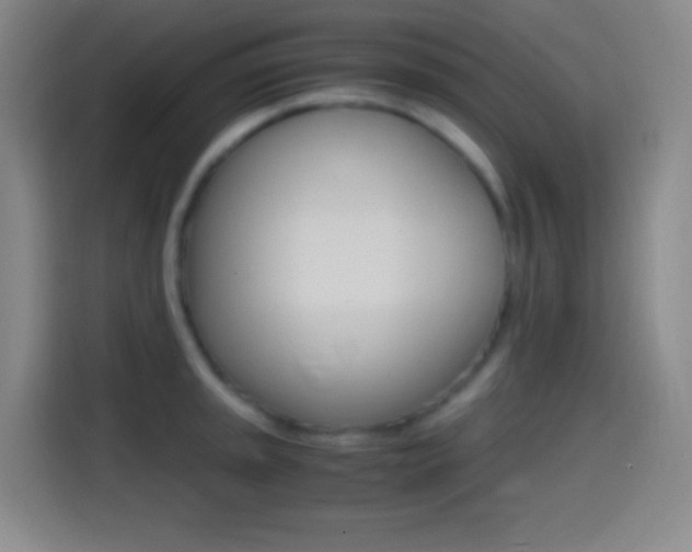 X0000114561045200910191007