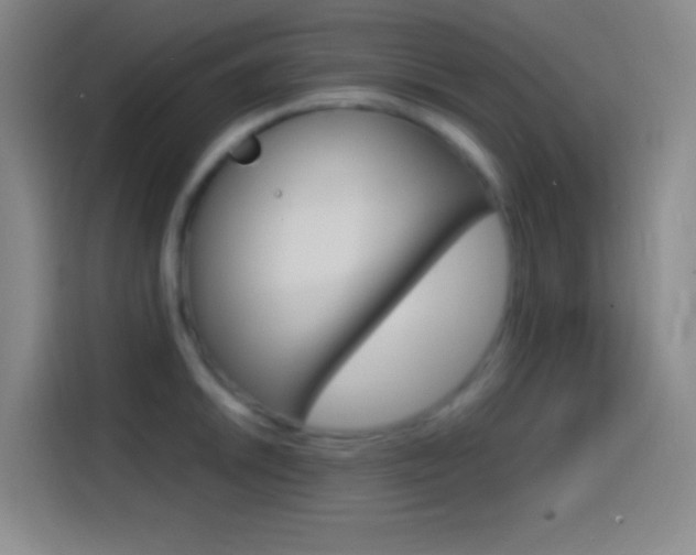 X0000114561046200910191007