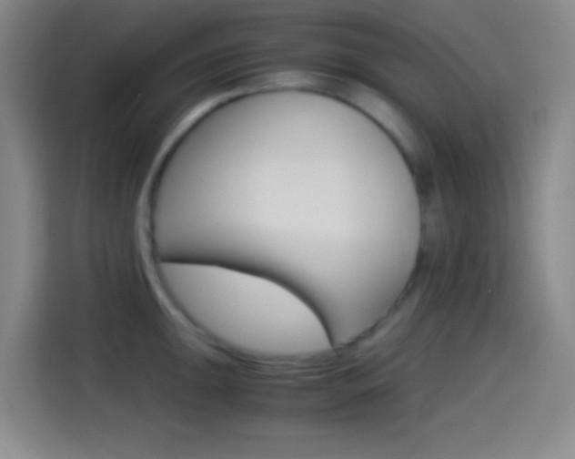 X0000114561047200910191007