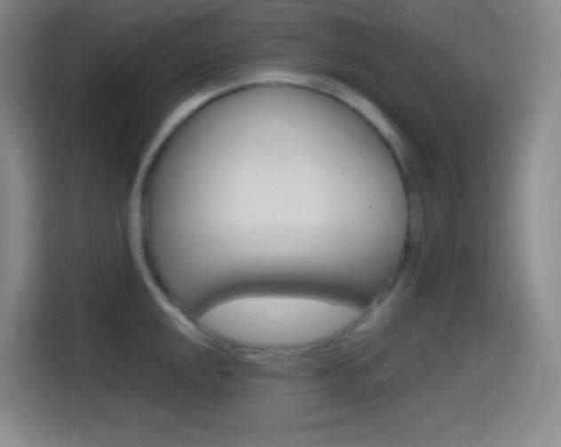 X0000114561048200910191007