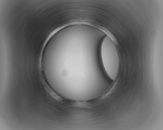 X0000114561052200910191007