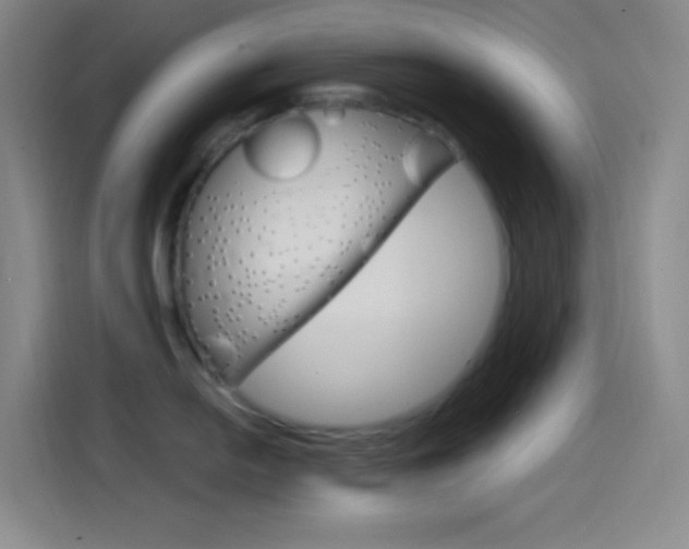X0000114561054200910191007