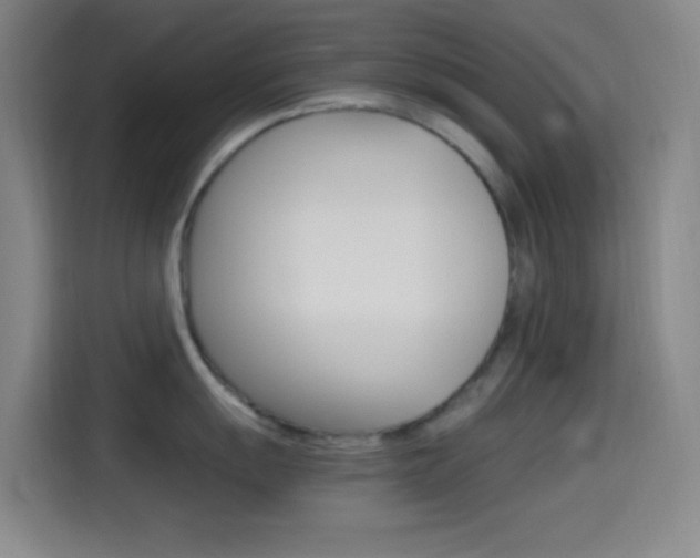 X0000114561055200910191007
