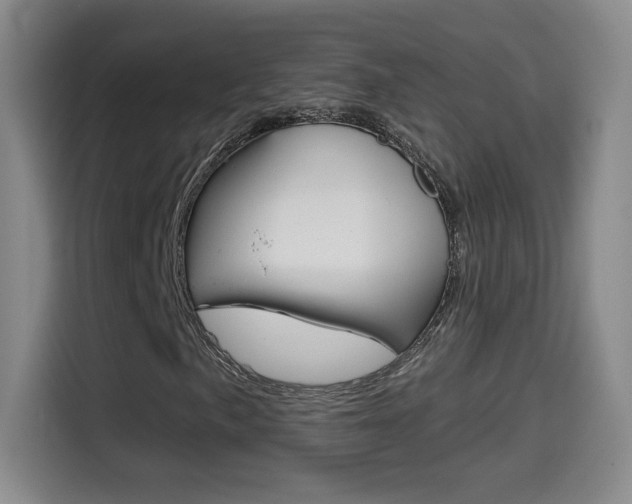 X0000114561057200910191007