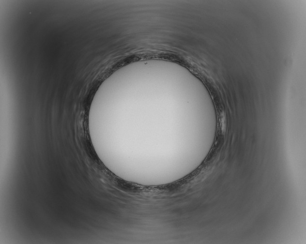 X0000114561059200910191007