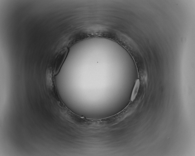 X0000114561060200910191007