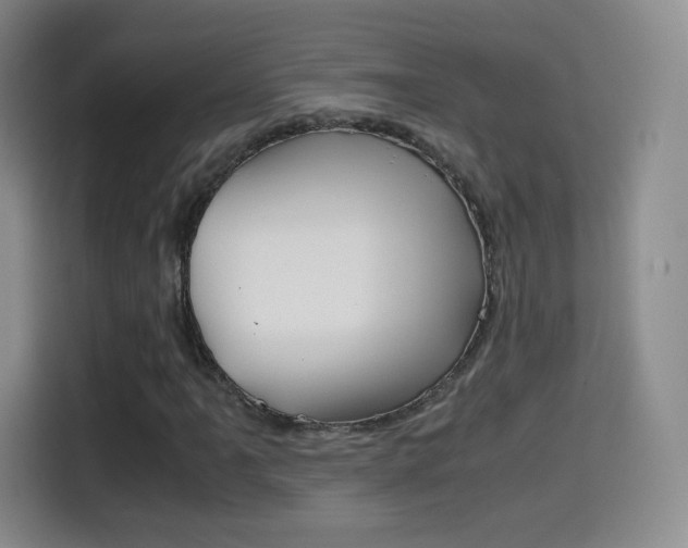 X0000114561061200910191007