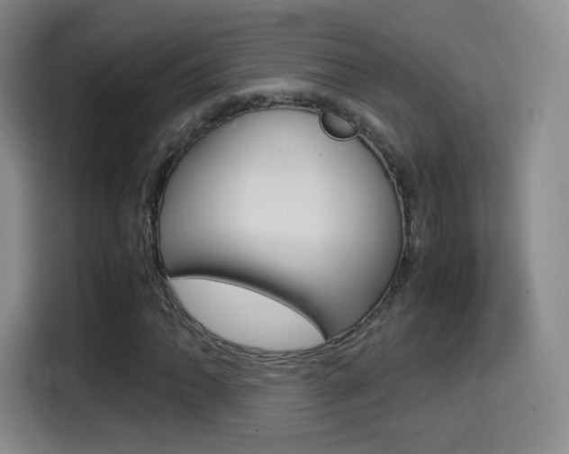 X0000114561062200910191007