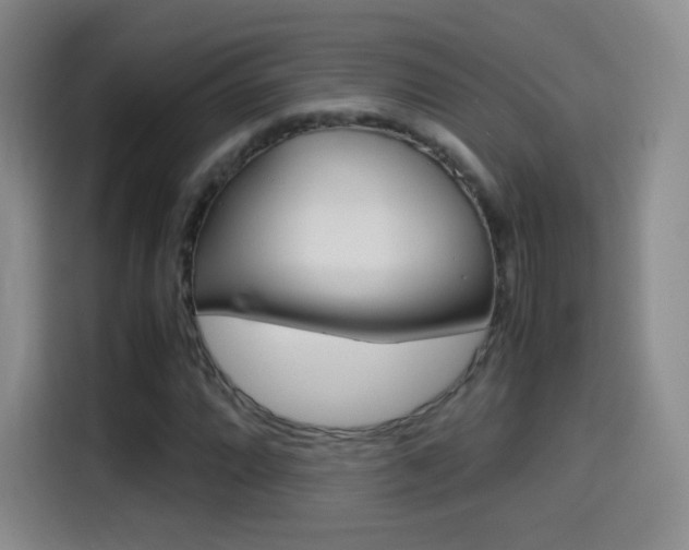 X0000114561064200910191007