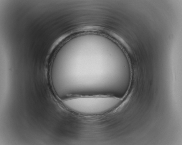 X0000114561066200910191007