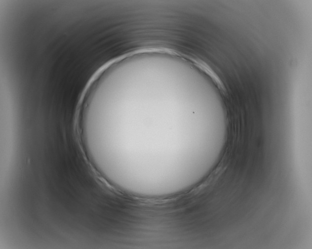X0000114561068200910191007