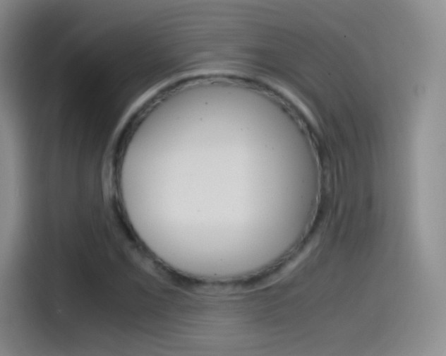X0000114561069200910191007