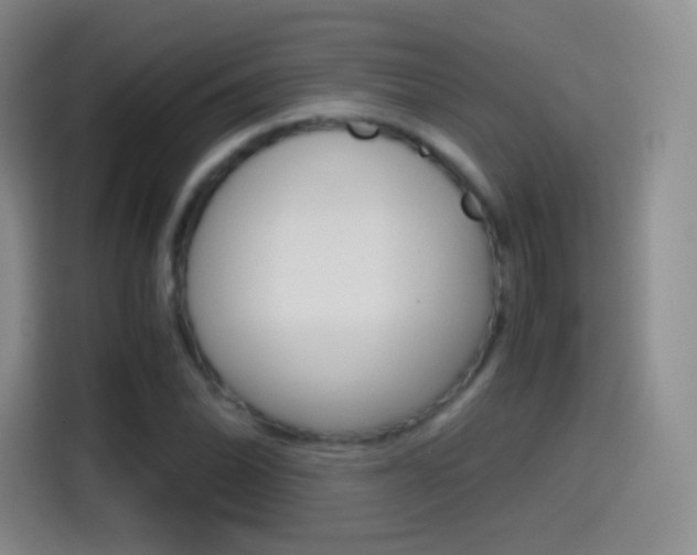 X0000114561070200910191007