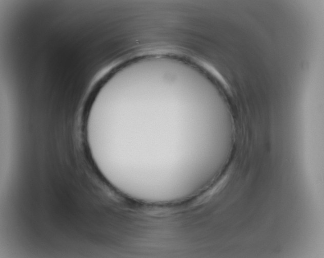X0000114561071200910191007