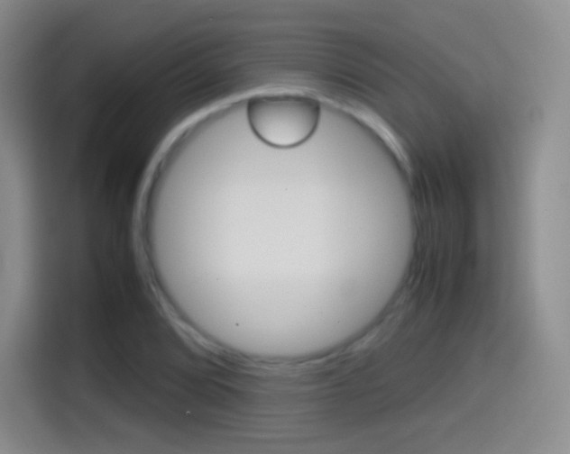 X0000114561072200910191007