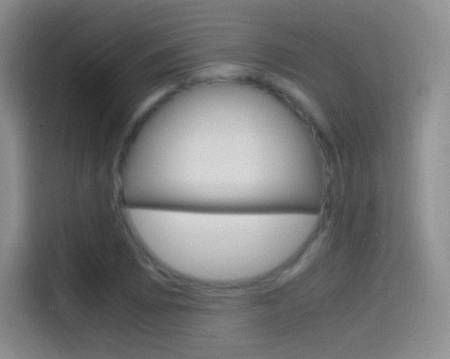 X0000114561073200910191007